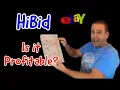 HiBid Is it profitable