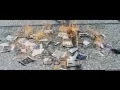 Download Lagu [Music Video] BTS (방탄소년단) - Butterfly (Prologue Mix)