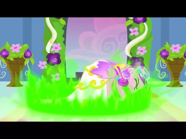 background images