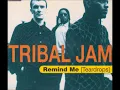 Download Lagu Tribal Jam - Remind Me [Teardrops] (DJ Madame T-Relo alias DNA Edit)