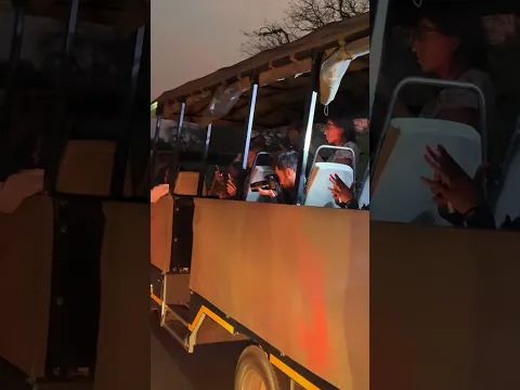 Tiger sighted in Africa