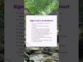 Download Lagu Signs You’re an Ambivert
