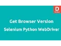 Get Browser Version using Python Selenium