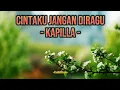 Lagu Kapilla - Cinta Jangan Diragu (Lirik Lagu)