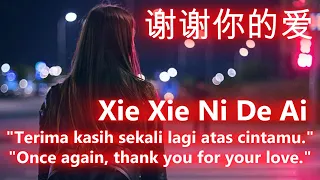 Xie Xie Ni De Ai 谢谢你的爱 Terima Kasih Sekali Lagi Atas Cintamu 