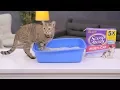 Scoop Away Cat Litter Chewy