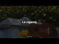 la cigarra ★ natalia jiménez, lila downs | letra