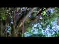 Download Lagu Hãy Làm Lại Từ Đầu Trọn Đời Bên Em 7   Lý Hải   Video Clip