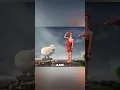 The Amazing Power of Sheep s Wool