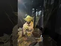 Star Wars Day Event at Dark Side Pizza