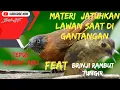 Lagu KOMPLIKASI MATERI TEMBAK PUKUL || BRINJI TUNGIR FEAT TEPUS ABU #brishasf #muraibatu #masteranburung