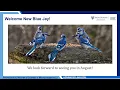 JHU AAP Int l New Student Orientation Pre-Arrival Webinar