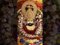Download Lagu prabhu mujhpe kripa kar do #shyam #shreekhatushyamdelhidham #shyamdarshan