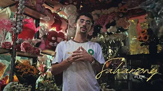                    فليكس   سحروني  دندنها