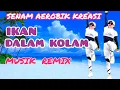 SENAM AEROBIK KREASI - IKAN DALAM KOLAM - MUSIK REMIX - LAGU VIRAL TERBARU TIKTOK