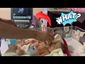 Download Lagu What Happens During a Baby’s Heart Echo in NICU? 