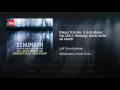 Piano Trio No. 3 in G Minor, Op. 110: I. Bewegt, doch nicht zu rasch