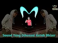 Download Lagu DJ Yang Dikuasai Katak Bhizer | Viral Terbaru😋😋
