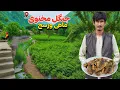 Download Lagu آغاز صبح جادویی در دهکده جنگل مخنوی جای در افغانستان که هیچکس از آن خبر ندارد! | صدای پرنده ها مختلف