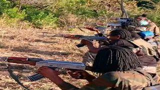 ODUU Amajji 25 2025 Injifannoo WBO Harargee Lixaa Aanaa Hancar MilkeysaMedia 