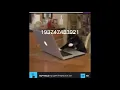 Download Lagu cat typeing maths imposbble question