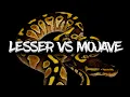 The Lesser vs the Mojave Ball Python Which is Best