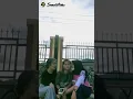 Download Lagu sayang tolong jangan marah marah