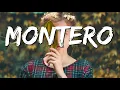 Download Lagu Montero ( Lil Nas X  )  - Lyrics // Magic Chill // Tiktok song