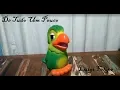 Download Lagu Boneco Louro José (Mais Você) - Brinquedos IFA