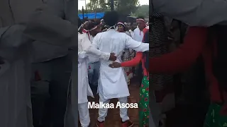 New Oromo Music SABBOONAA TARRAFA WBO Koo 2025 Viral Oromoculture Oromocomedy Mohammedavdol 