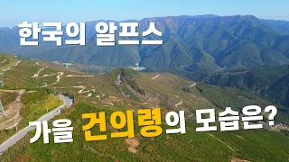 한국의 알프스 ,건의령의 가을은? #건의령#건의령길 썸네일