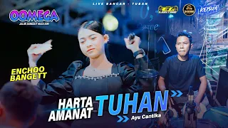 harta amanat tuhan ayu cantika oomega ft faris kendang live tuban dhehanpro