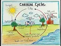 Carbon Cycle diagram drawing step by to draw carbon cycle diagram for projects
