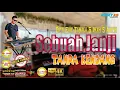 Download Lagu SEBUAH JANJI TANPA KENDANG VERSI DANGDUT KOPLO PEGON JANDUTAN ALA SAGITA NYEL