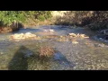 Frio River Cabins Texas Staycation Resort River Bluff