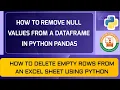 How To Remove NULL Values From DataFrame In Python Remove Empty Rows From DataFrame In Python