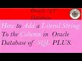 How to Add a Literal String to The Column