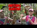 Download Lagu Grebek Lokasi Burung Kapas Tembak Gk Nyangka Bonus Banyak
