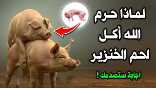 لماذا حرم الله لحم الخنزير واعتبره رجسًا وفجورًا !؟ وماذا يحدث لجسدك إذا أكلتها ؟