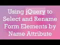 Using jQuery to Select and Rename Form Elements by Name Attribute