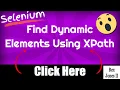 Selenium How To Handle Dynamic Values Using XPath 192