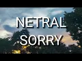 Download Lagu Netral - Sorry (Lirik)