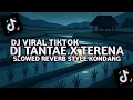 Lagu DJ TANTAE X TERENA - SLOWED REVERB STYLE KONDANG | DJ TIKTOK REMIX 2025