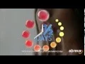 Cold Sore Treatment Treat Cold Sores Fast with Abreva