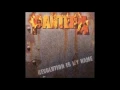 Revolution Is My Name (Radio Edit) - Pantera