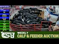 STAUNTON UNION STOCKYARD Weekly All-Class Cattle Auction 2026