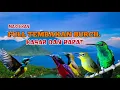 Download Lagu Masteran Burung kecil full tembakan  kasar dan rapat ‼️materi obral abrik gantangan