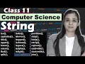 PYTHON - String Function in One Class with Examples CBSE Class