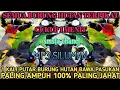 Download Lagu SUARA PIKAT SEMUA JENIS BURUNG HUTAN TERBARU 1000% AMPUH@Smstachanel