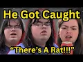 Nova Online TikTok Predator New Discord Leaks Exposed His Minecraft Server